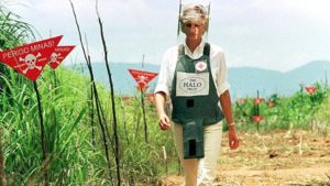 2,w=993,q=high,c=0.bild